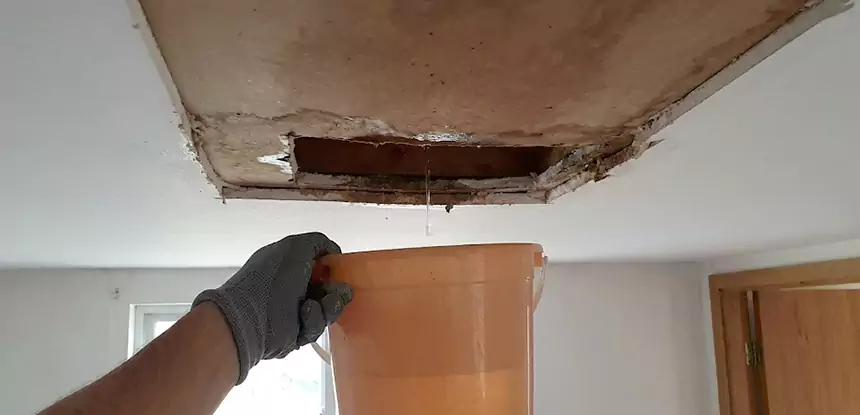 Ceiling Mold Repair Raymore